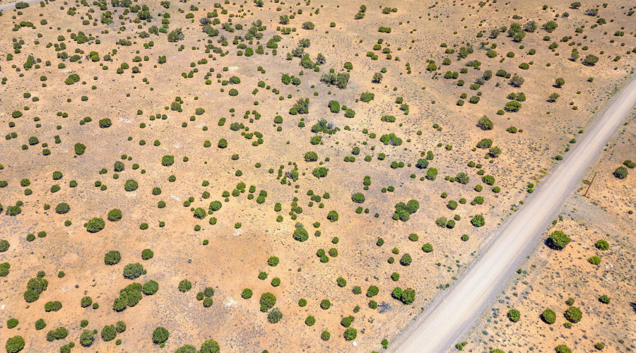 WindsorValleyRanchLot188-Concho-AZ-14