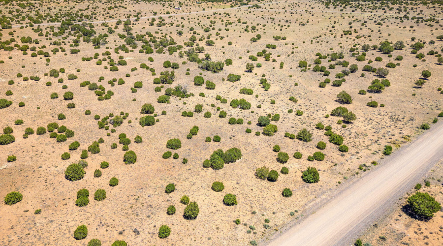 WindsorValleyRanchLot188-Concho-AZ-15