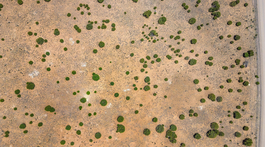 WindsorValleyRanchLot188-Concho-AZ-17