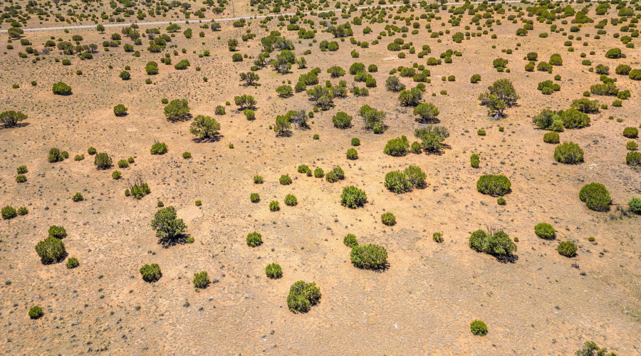 WindsorValleyRanchLot188-Concho-AZ-6