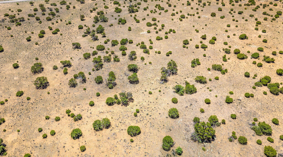 WindsorValleyRanchLot188-Concho-AZ-7