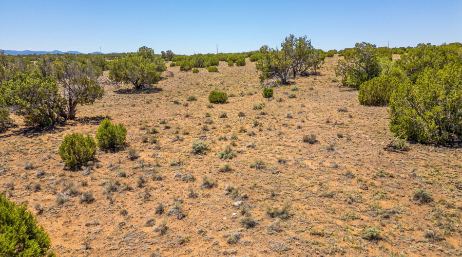 WindsorValleyRanchLot188-Concho-AZ-8