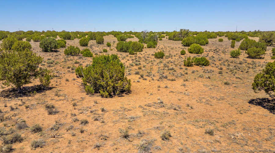 WindsorValleyRanchLot188-Concho-AZ-9