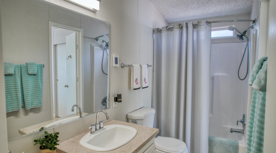 Full Guest Bath