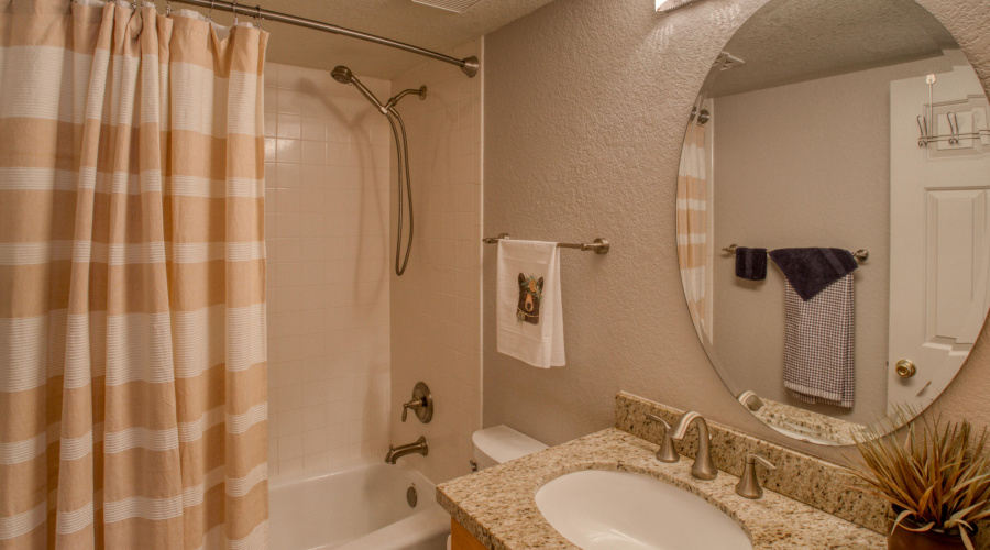 Primary en-suite bath