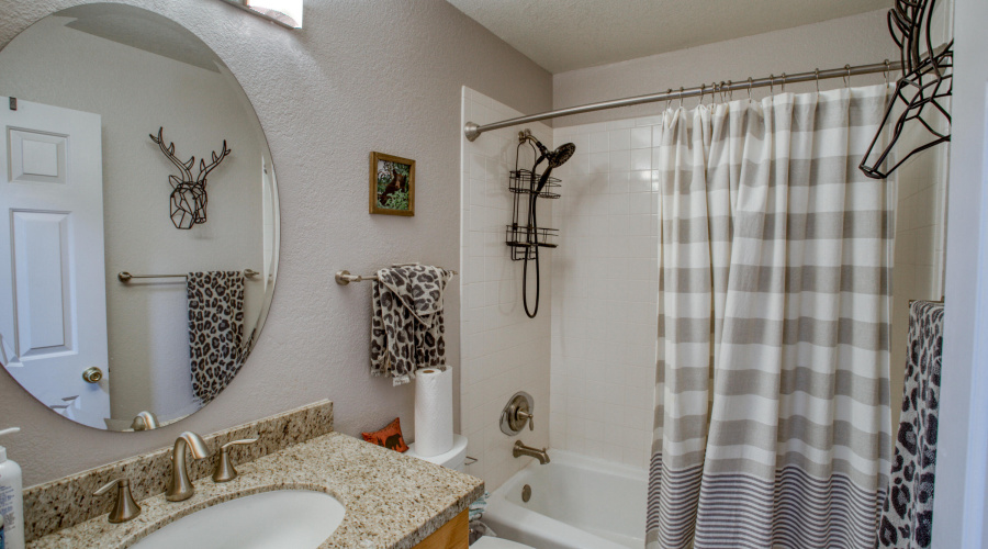Guest hall bath