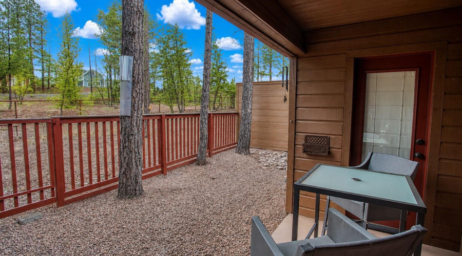 View of yard from Back patio