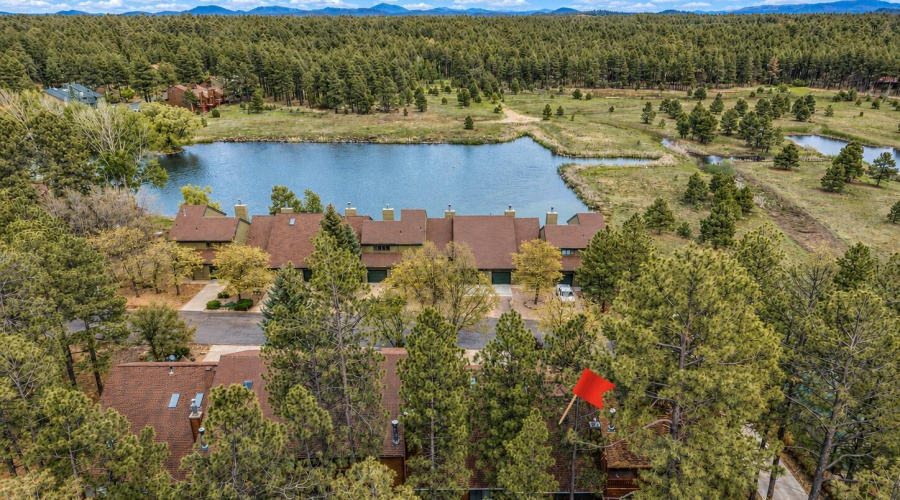 Aerial view of lake