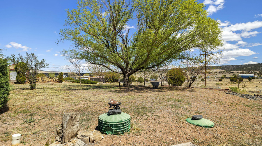 1855HopiDr-Springerville-AZ-4