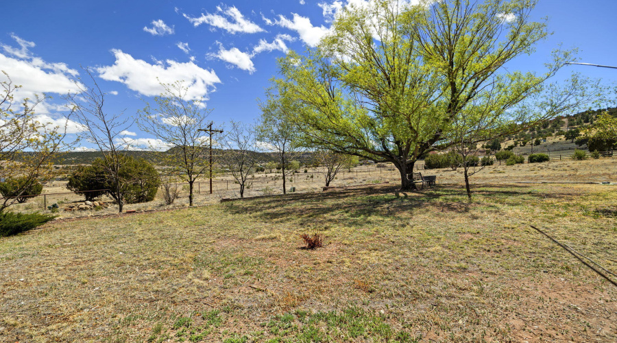 1855HopiDr-Springerville-AZ-5