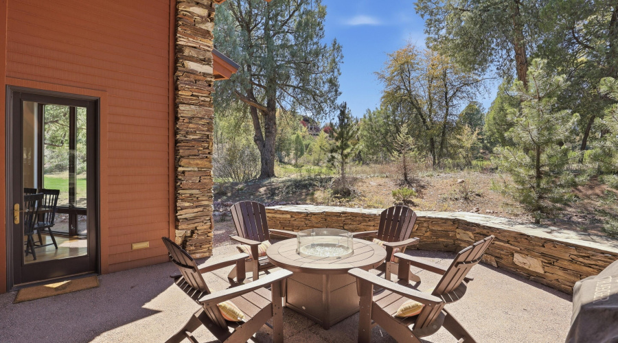 Back Patio