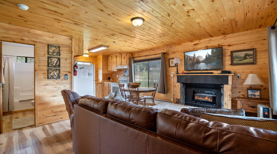 SMALL CABIN LIVING 1