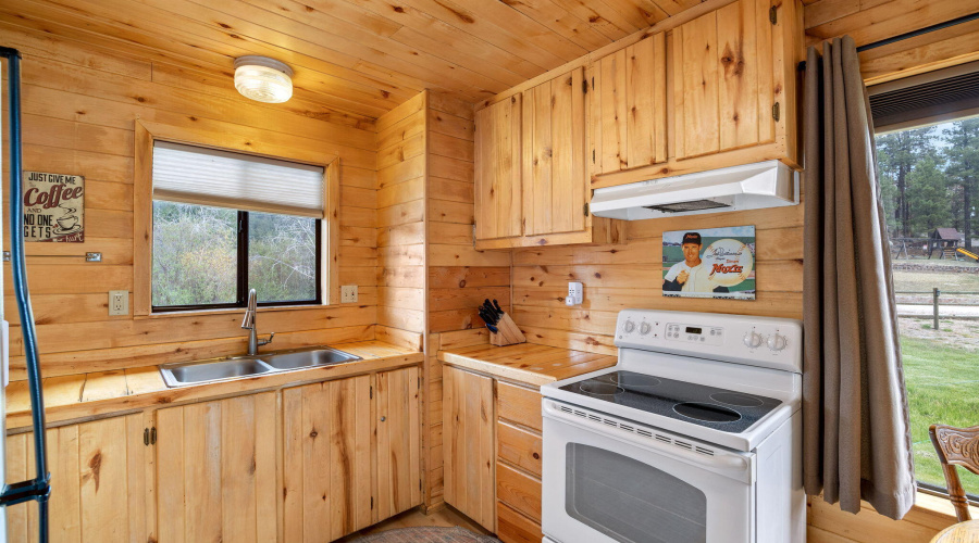 SMALL CABIN KITCHEN 2
