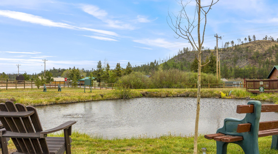 PRIMARY POND