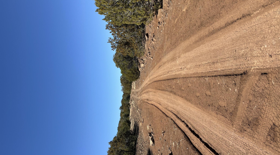 Pine Dr