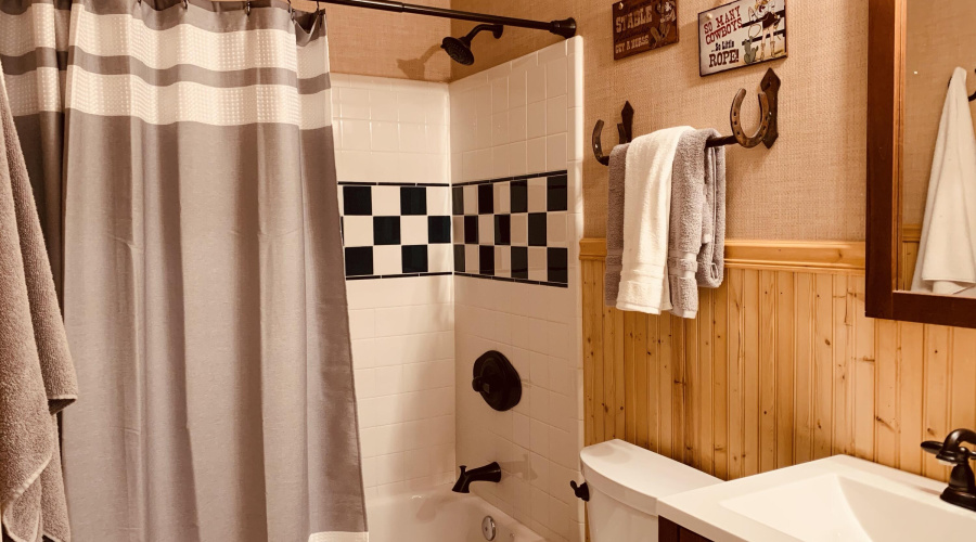 Guest Bathroom
