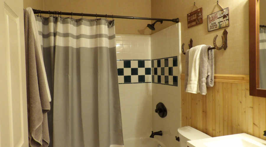 3215 guest full bath