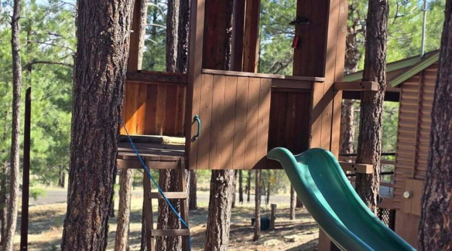 Tree house