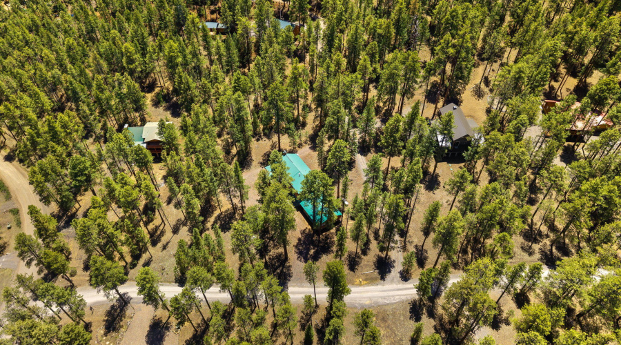 48N1068-Greer-AZ-31
