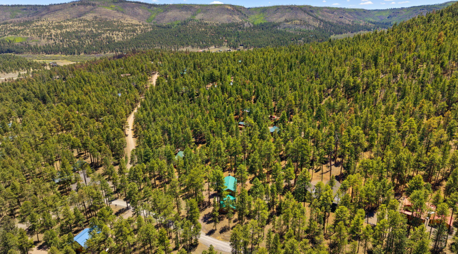 48N1068-Greer-AZ-32