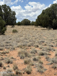 15 Pine Drive, Concho, Arizona 85924, ,Land,For Sale,Pine,261197