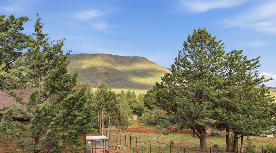 Mountain Views
