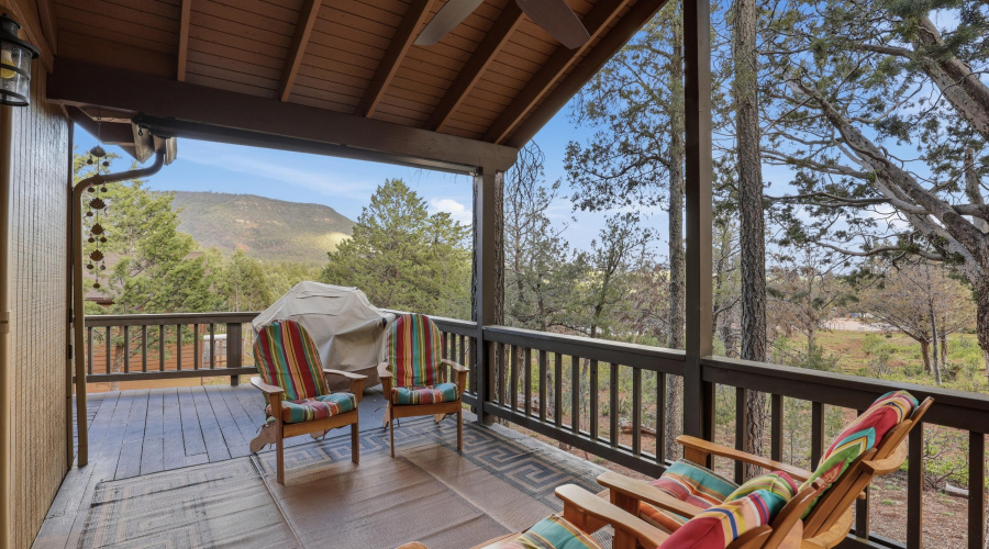 Mountain View from Deck