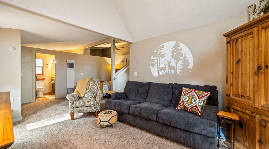 2184NWoodsDr-HeberOvergaard-AZ-18