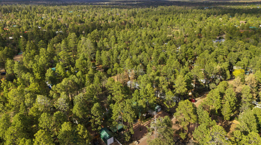 2184NWoodsDr-HeberOvergaard-AZ-43