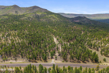 2184 Highway 191, Nutrioso, Arizona 85932, ,Land,For Sale,Highway 191,261214