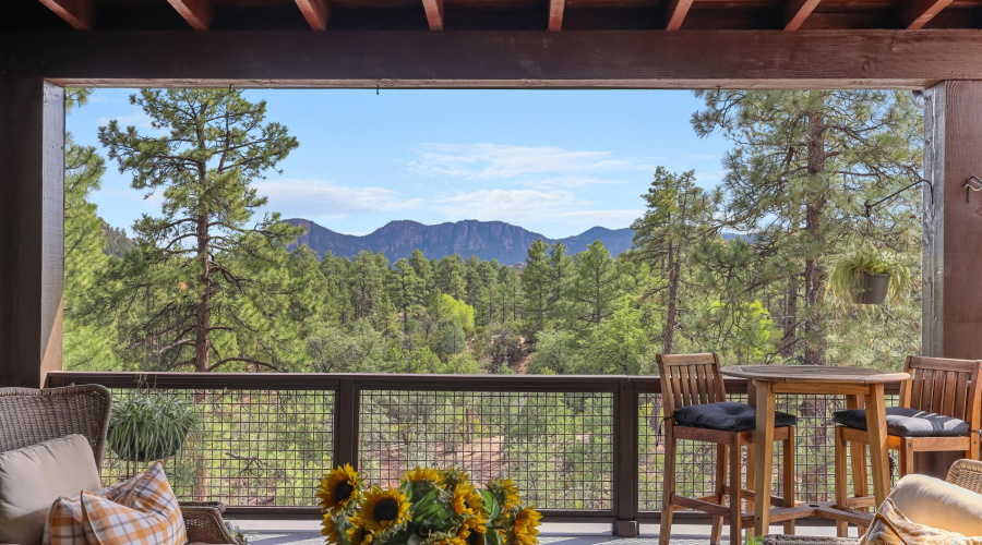 Main Level Patio