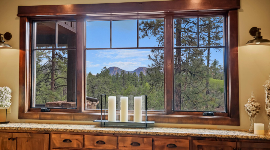View from Wet Bar