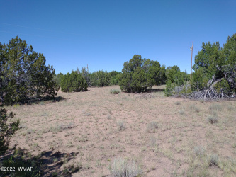 61 Spring Drive, Concho, Arizona 85924, ,Land,For Sale,Spring,243513