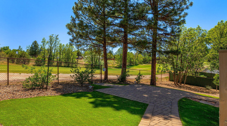 Back yard