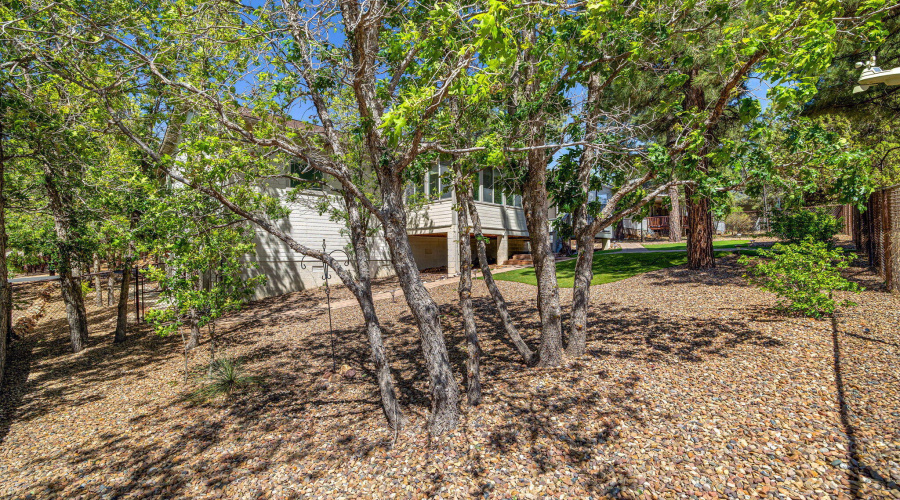 Lots of trees on the property