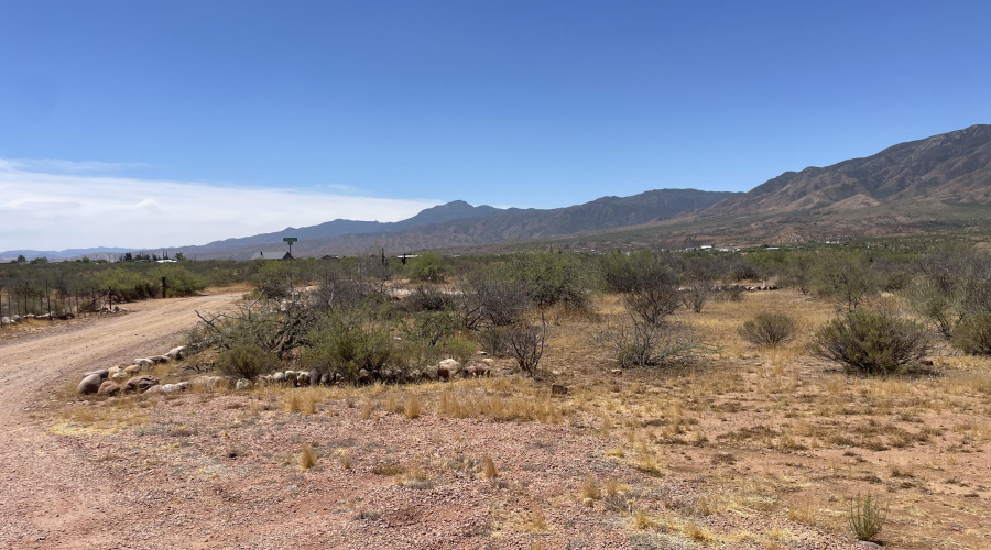 Panoramic Views