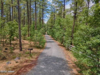 TBD Jacks Lane, Pinetop, Arizona 85935, ,Land,For Sale,Jacks,261233