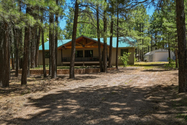 1233 Merzville Road, Forest Lakes, Arizona 85931, Bedrooms, ,Bathrooms,Residential,For Sale,Merzville,94052