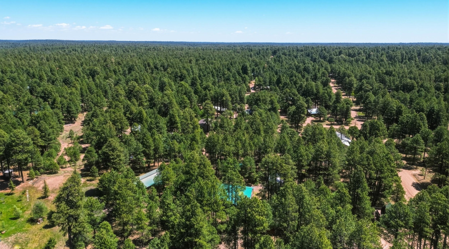 Aerial D