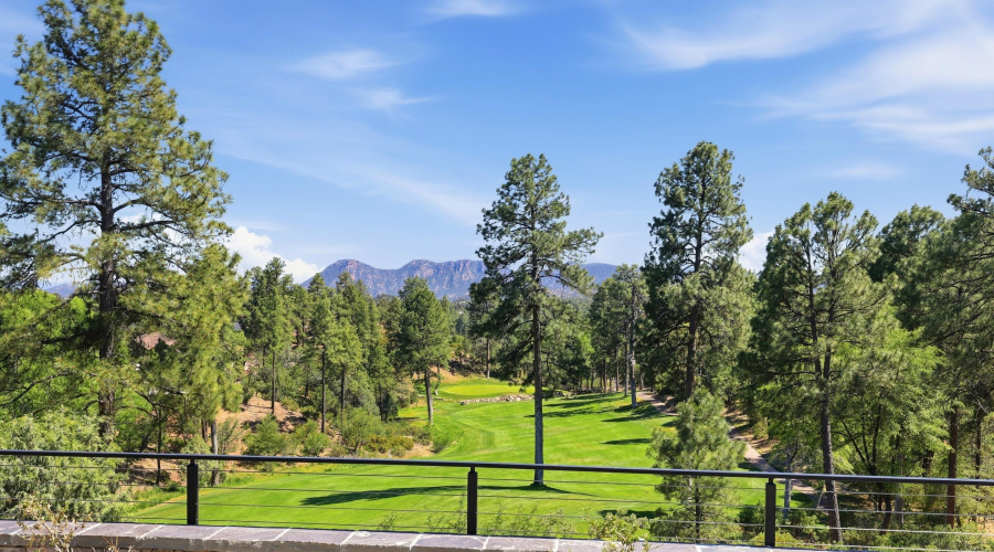 View from Patio