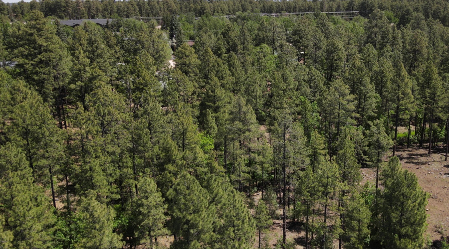 DJI_0535 - frame at 0m6s