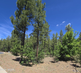 1412 Big Springs Trail, Lakeside, Arizona 85929, ,Land,For Sale,Big Springs,261249