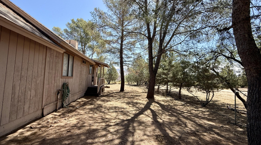 Behind cabin