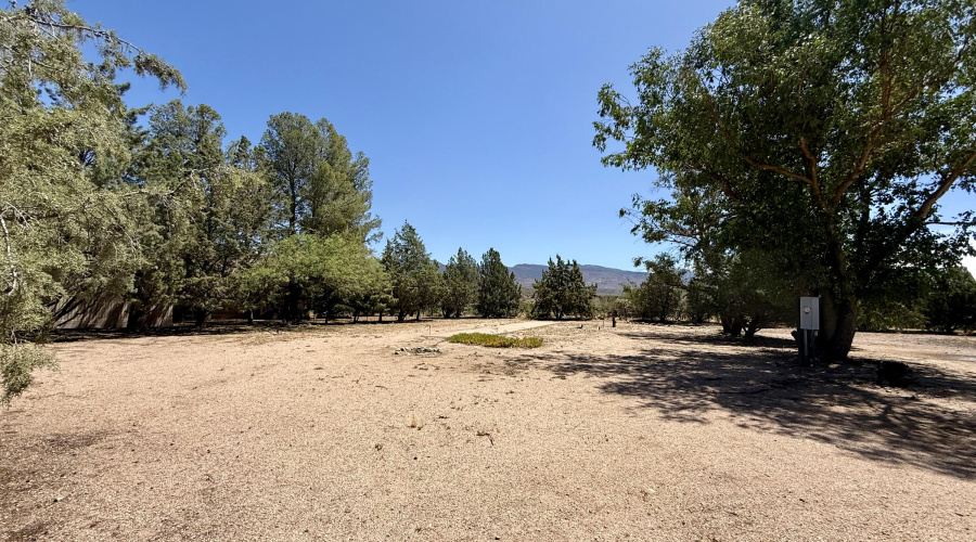 Lot behind cabin