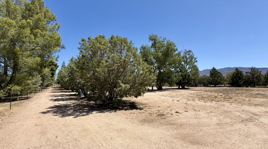 Driveway 2