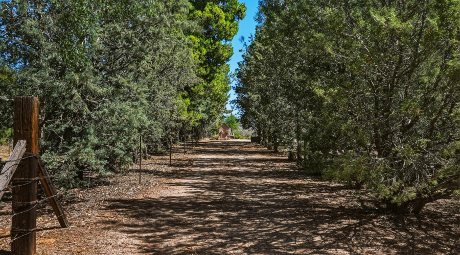 drive way