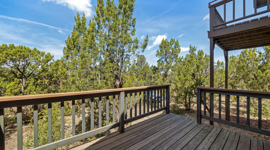 3563StarliteDr-Heber-AZ-21