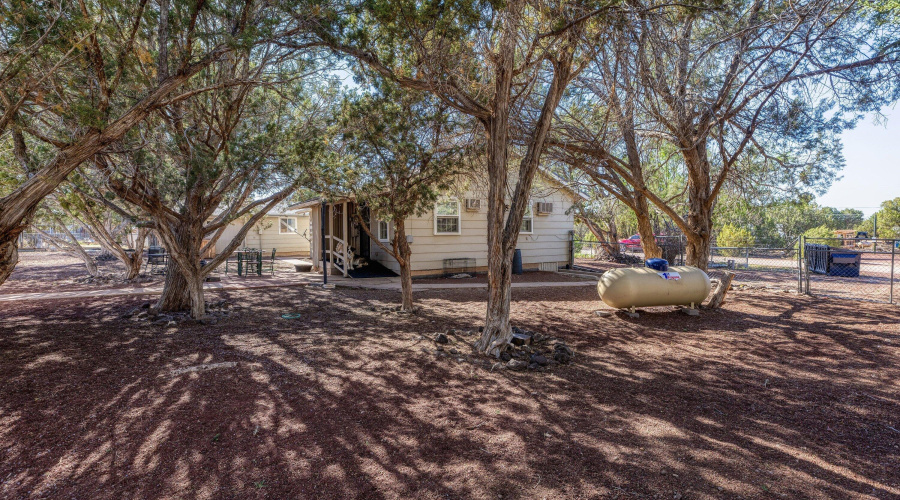 Well Maintained Yard