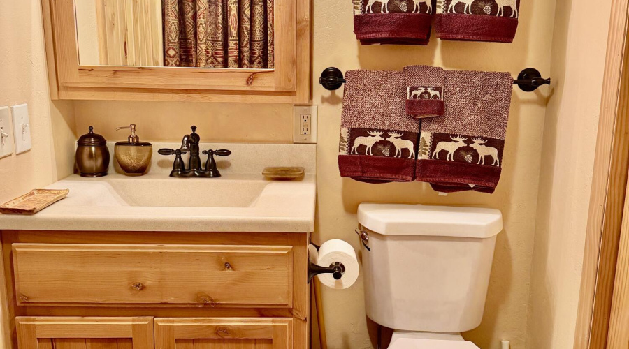 downstairs bathroom