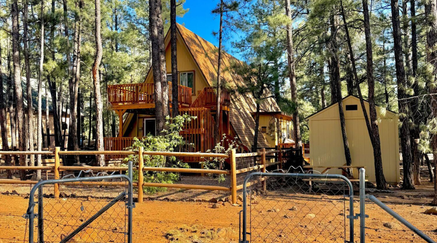 from forest to back yard